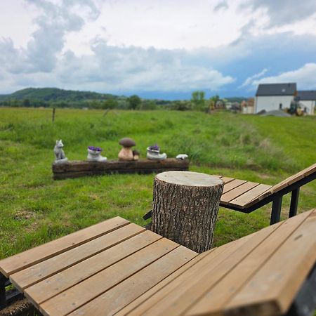 Wataha Pod Basztami - Wadera - Domki Caloroczne Radkow Exterior foto